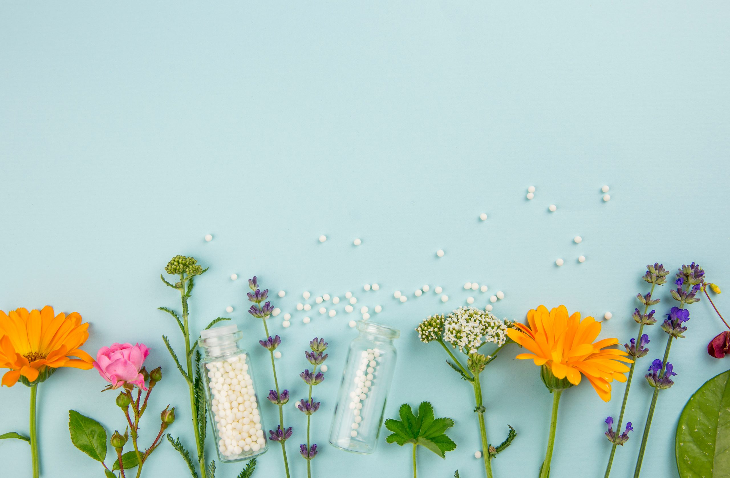 homeopathie-pharmacie-de-la-clouere